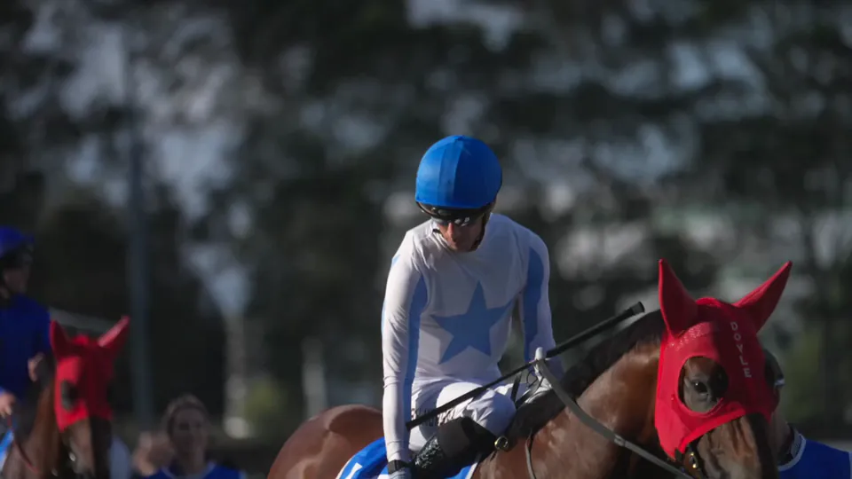 Group One Races in Australia In 2026: The Pinnacle of Thoroughbred Racing Excellence