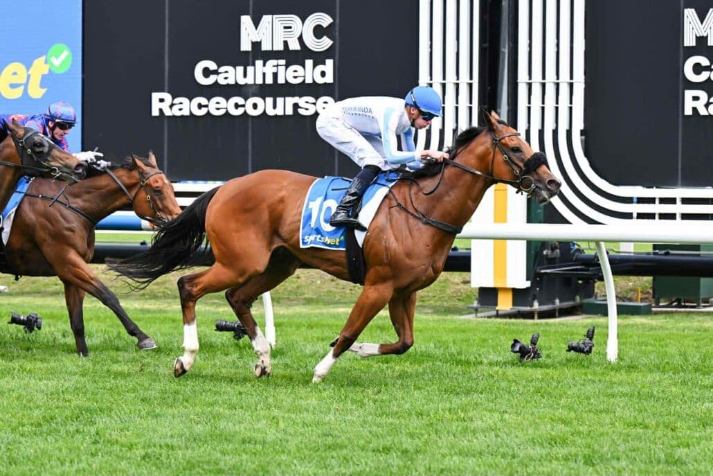 Racehorse Shares