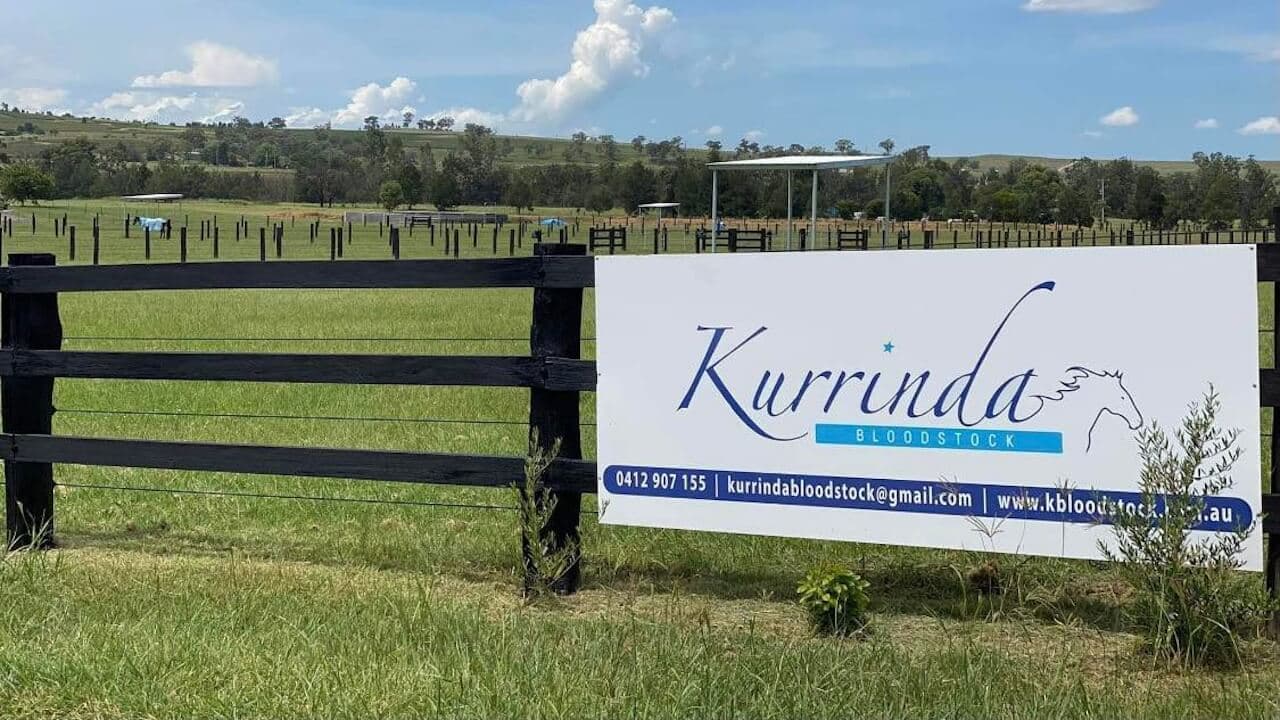 About Kurrinda Bloodstock Racehorse Syndicates
