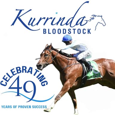 Celebrating 49 Years of Proven Success