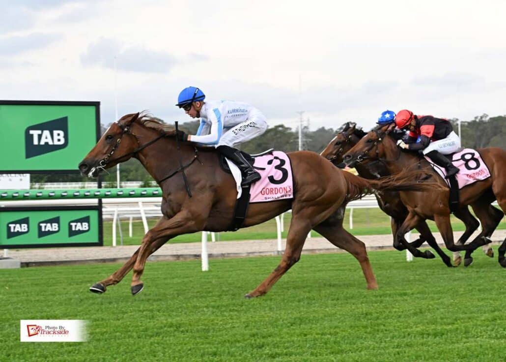 racehorse syndication