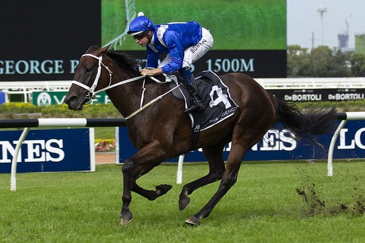 Winx still lighting up the racing world with her only living foal to date the Pierro X Winx filly stealing the show at the Inglis Easter Sales commanding a record breaking $10 Million for a Australian yearling at public auction