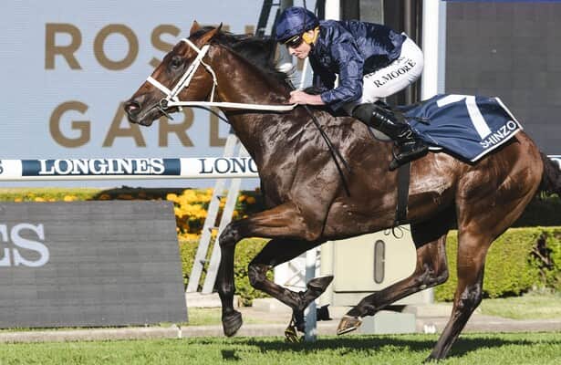 Shinzo high quality colt retired to stud after Group 1 Golden Slipper winning Career. The Son of champion sire Snitzel to stand at Coolmore Stud in 2024