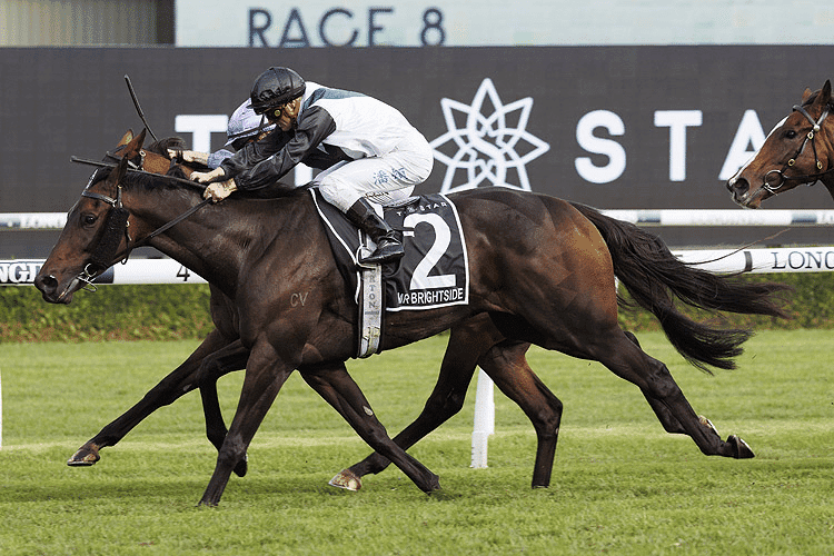 Exciting NSW Horse Racing Syndicates are so much more accessible for everyone to get involved these days thanks to a trusted and proven syndicator such as Kurrinda Bloodstock who make it possible for everyone to be involved in high quality racehorses at all levels of life and experience the thrill of racehorse ownership