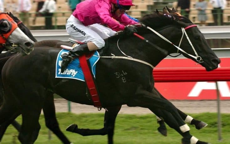 How to buy shares in racehorses Australia? Kurrinda Bloodstock a trusted and proven racehorse syndicator make it possible and affordable for just about anyone to get involved in exciting high quality racehorse shares without breaking the bank. Kurrinda Bloodstock offer some of the very best racehorse shares around and a guaranteed unrivalled experience