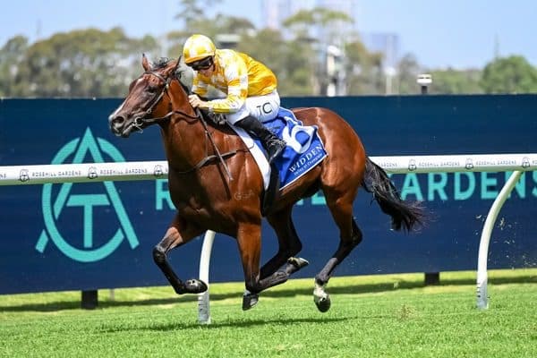 Lady of Camelot 2024 Group 1 golden slipper winner for Gai Waterhouse and Adrian Bott, exciting 2 year old with blue bloodlines for Sir Owen Glenn's Go Bloodstock
