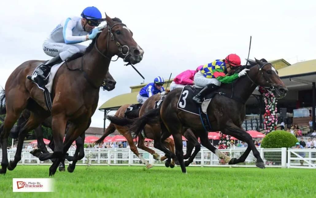 Racehorse Shares NSW, Kurrinda Bloodstock offers affordable and easy accessible racehorse shares NSw for anyone looking to become a racehorse owner and join the thriving industry that is the racehorse community. Kurrinda Bloodstock is a proven and trusted racehorse syndicator