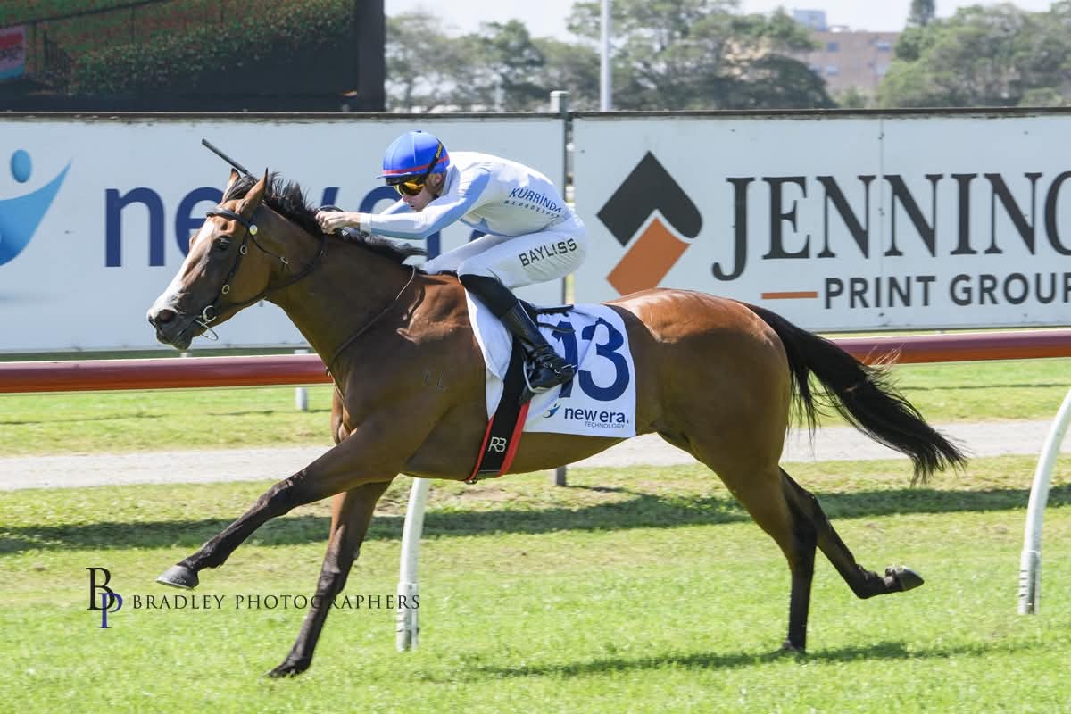About Kurrinda Bloodstock Racehorse Syndicates