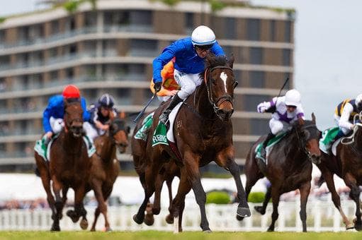Stradbroke Handicap is the pinnacle of racing in Queensland racing carnival, Kurrinda Bloodstock can make the dream of having your own runner one day a reality through affordable racehorse ownership