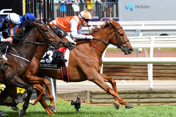2019 Melbourne Cup winner Vow And Declare turned back the clock to win the Tattersalls Cup Listed Race, not only turning back the clock but smashing it in a new track record. Kurrinda Bloodstock offers the opportunity to get involved and dream of one day having your very own Melbourne Cup runner