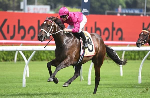 Horse racing syndicates is a great way to get involved in the world of horse racing, for some it may seem daunting but through horse racing syndications and proven, trusted syndicators like Kurrinda Bloodstock it can be very affordable together involved in high class racehorses for just a fraction of the price