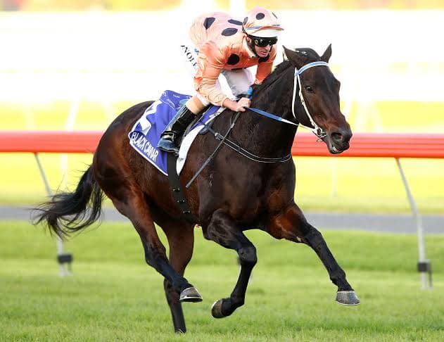 Tragic passing of champion sprinter Black Caviar aged 17. Racing mourns the loss of one of the greatest sprinters we will ever see, a legend of the racing scene that will never be forgotten. Getting involved in exciting racehorses like this can be very easy and affordable thanks to trusted and proven syndicators like Kurrinda Bloodstock