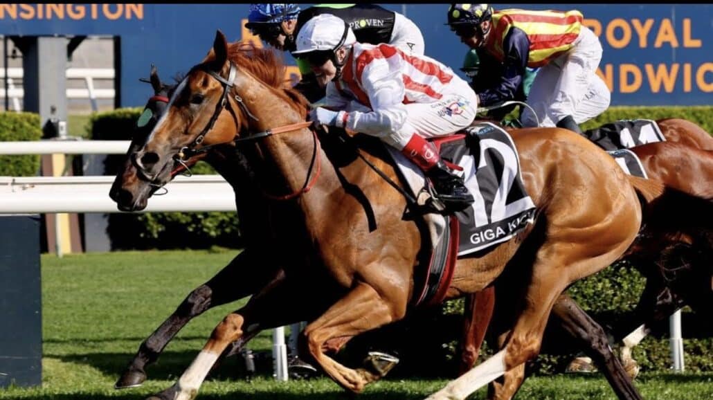 Explore Kurrinda Bloodstock's blogs for the latest news, expert insights, and stories on thoroughbred racing, breeding, and syndication. Stay connected with the racing world! - Giga Kick returns