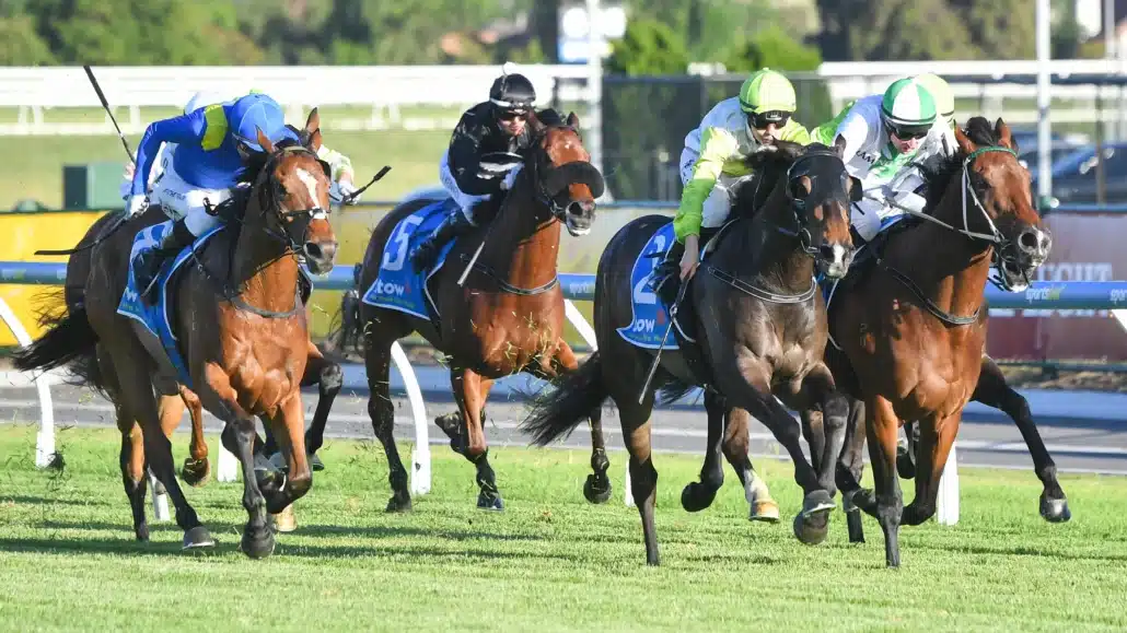 myracehorse card
