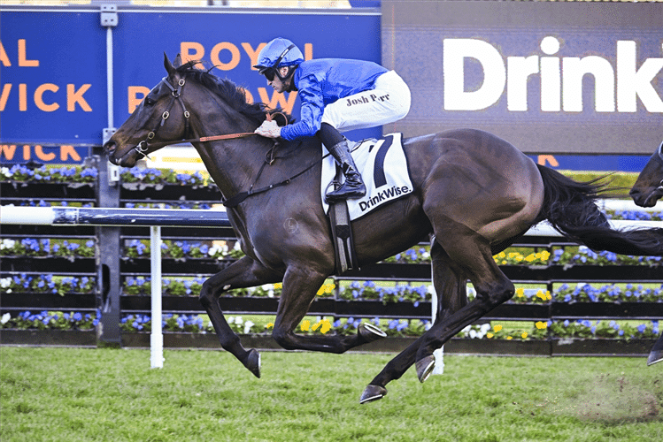 Horse pericles 214227 750x500.jpg