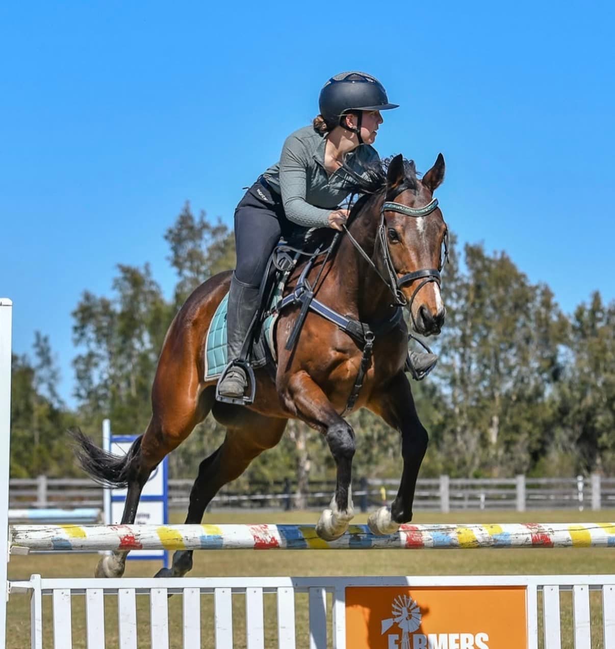 A retired thoroughbred clearing a fence in a show jumping round