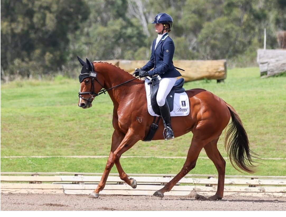 A retired thoroughbred working in an extended trot during a dressage test