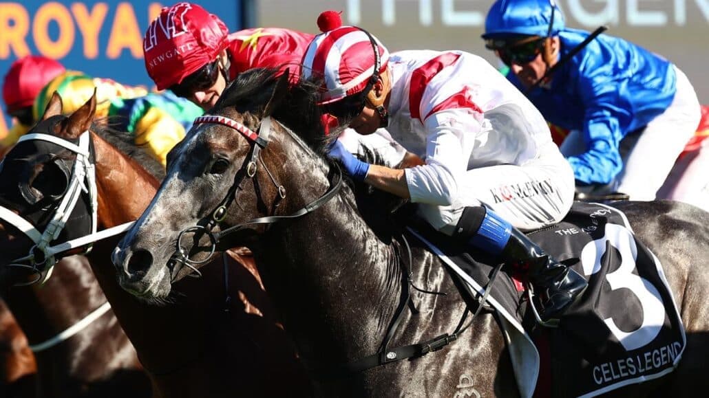 Racehorse syndication has never been more popular for racehorse owners than it is in 2024 a great way to get involved in high quality racehorse shares without the huge cost involved of full ownership thanks to trusted and proven racehorse syndicators like Kurrinda Bloodstock
