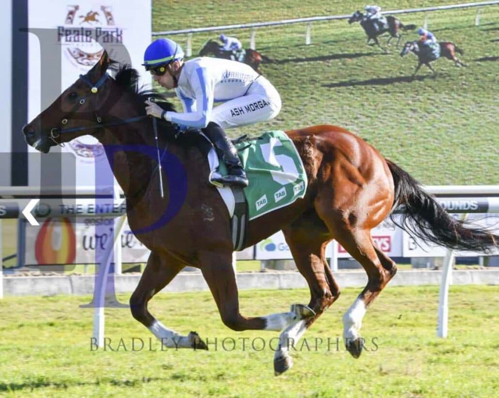 Kurrinda Bloodstock as a syndicator as a rich history in the horse racing world and offers some of the very best horse racing syndicate around, get in touch today to allow us to help you find your next winner