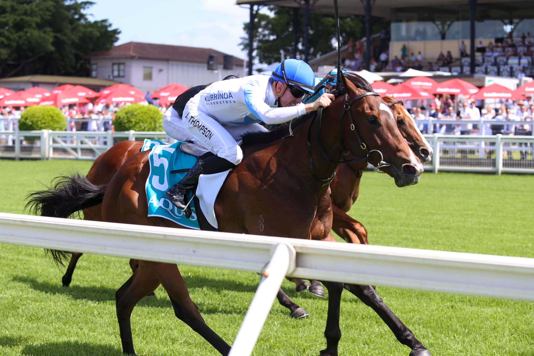 Make Your Dreams Become A Reality With Kurrinda Bloodstock