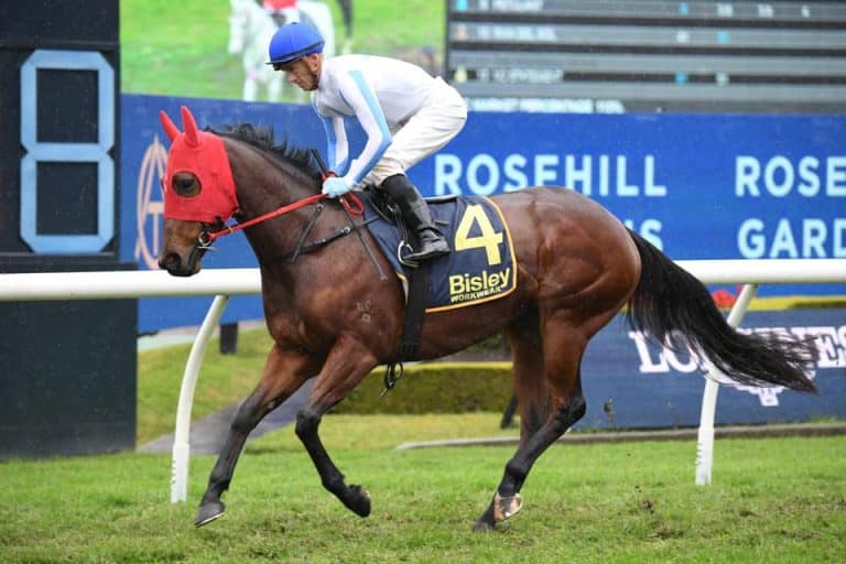 Join the wonderful world of horse racing syndicates with proven racehorse syndicator Kurrinda Bloodstock, offering an affordable and great experience into the world of horse racing