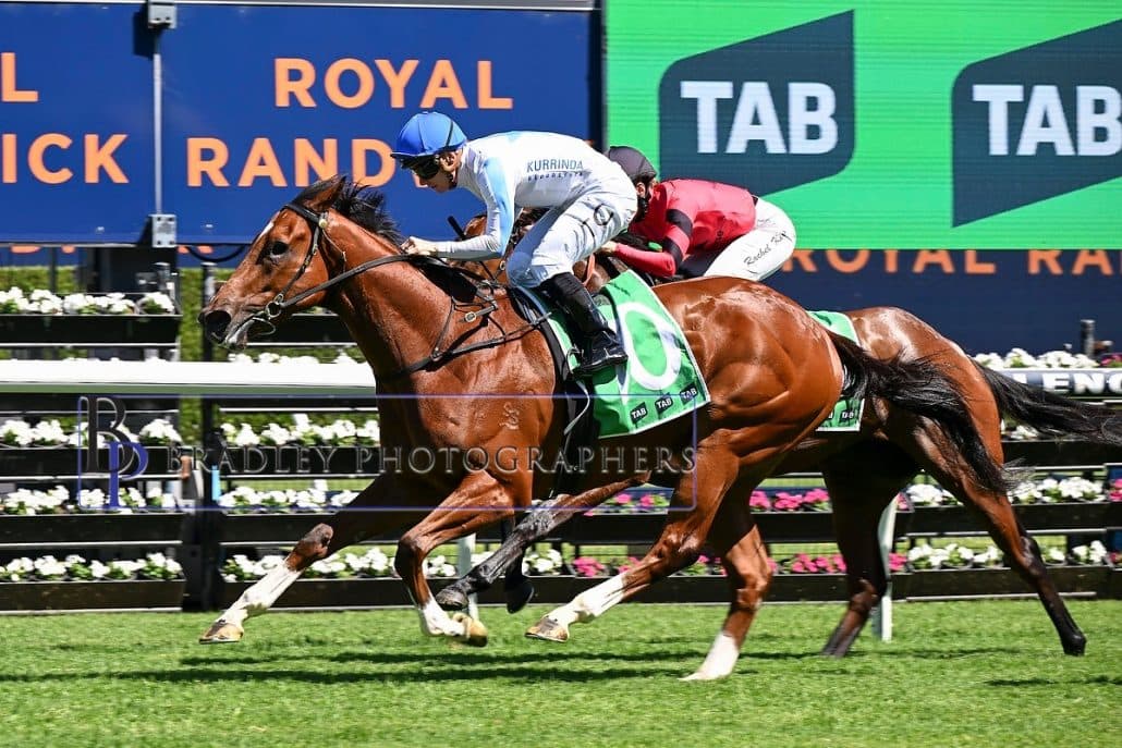 Understanding horse racing syndication NSW, how Kurrinda Bloodstock offers some of the most exciting racehorse syndications on the market at affordable rates. Their results on the track speak for themselves