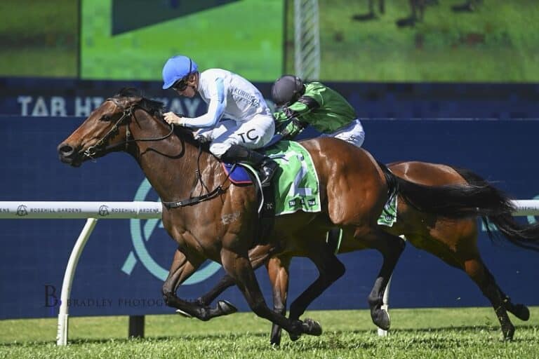 Our Racehorses | Syndicates & Shares | Kurrinda Bloodstock .Super Norwest a rising star
