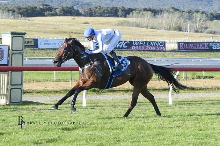 Buy a Racehorse in Australia