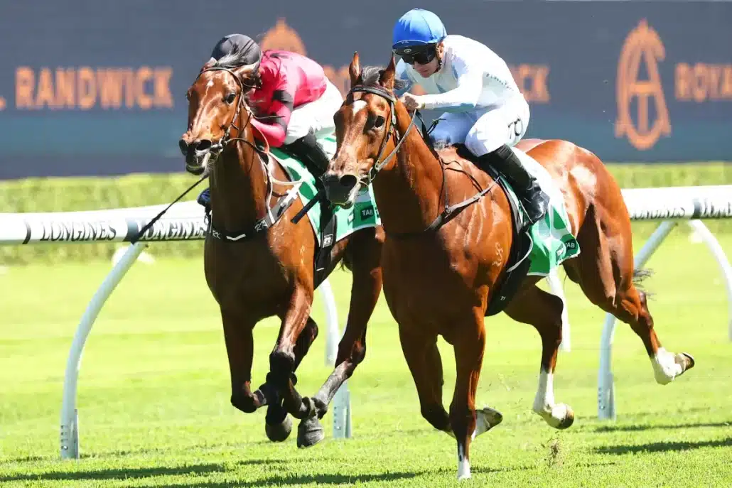 the list of horse racing syndicates can be daunting for some but Kurrinda Bloodstock a trusted and proven syndicator stands out from the rest with high quality shares on offer at affordable prices as well as a fantastic experience guaranteed choosing Kurrinda for your racehorse shares is a great option