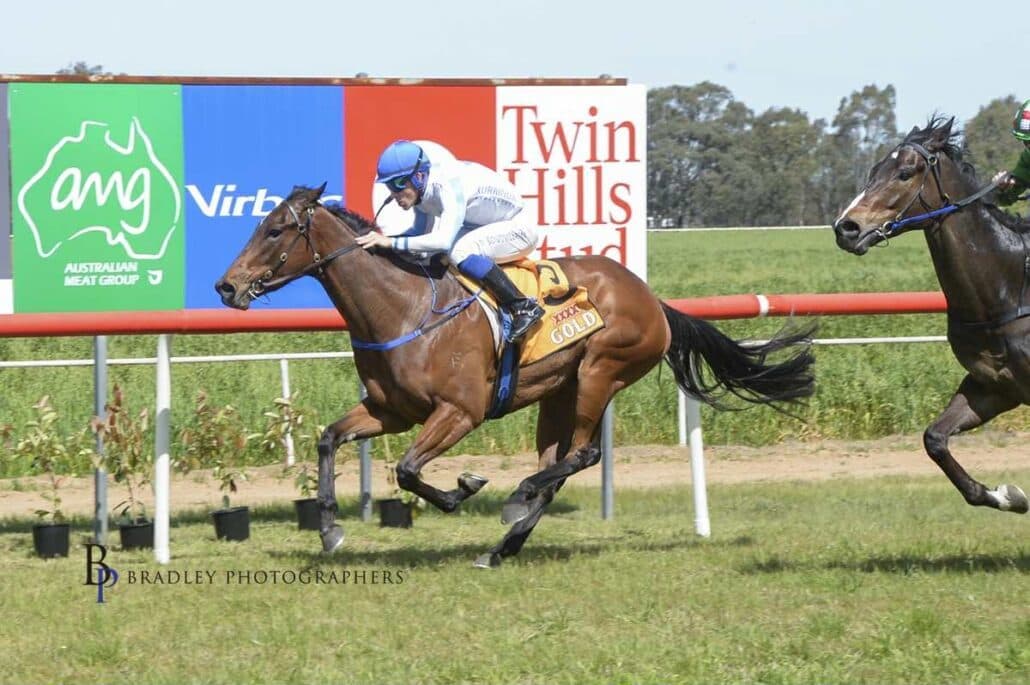 Racehorse Shares