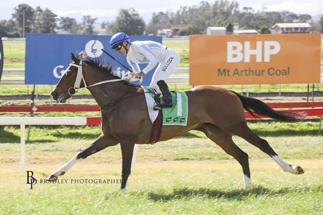 Horse Syndications