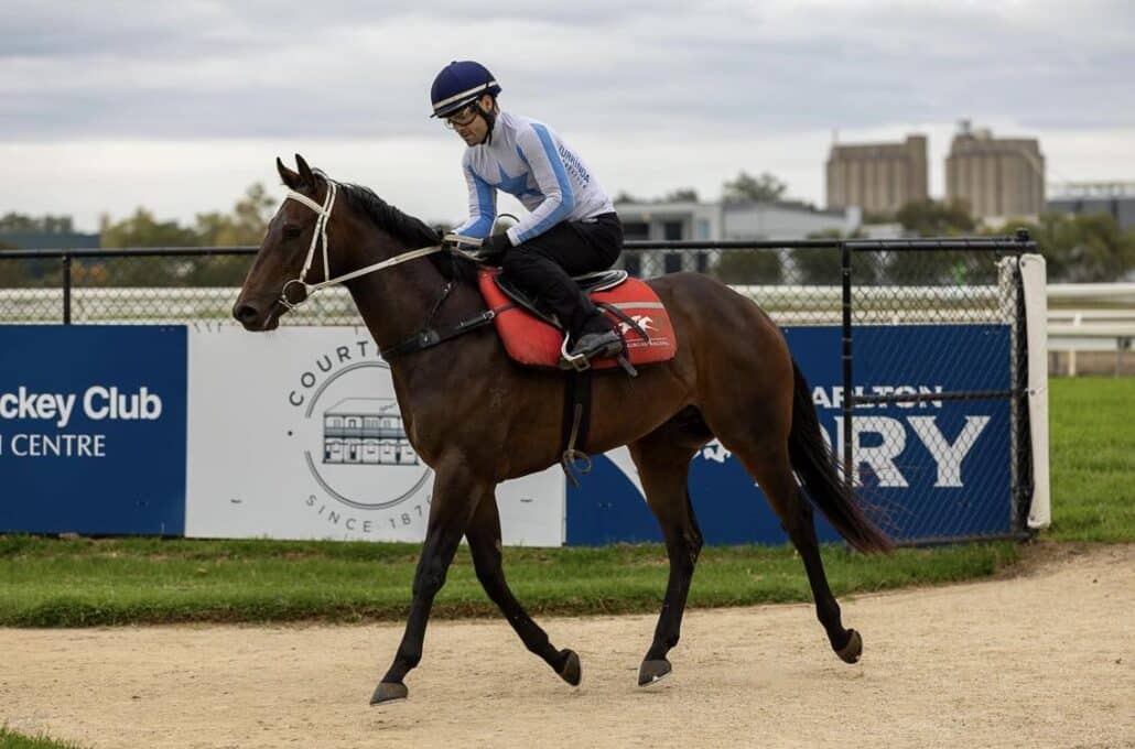 Kurrinda Bloodstock offers some of the very best racehorse shares around in 2024, a respectable and proven racehorse syndication company let us find you your next winner!
