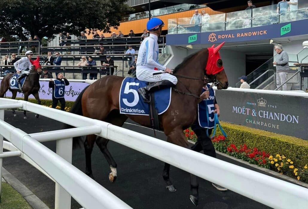 Owning race horse shares in 2024 has never been so easy thanks to proven and trusted syndicators like Kurrinda Bloodstock. High quality race horse shares available at affordable prices for just about anyone to get involved. Experience the thrill of racehorse ownership the right way