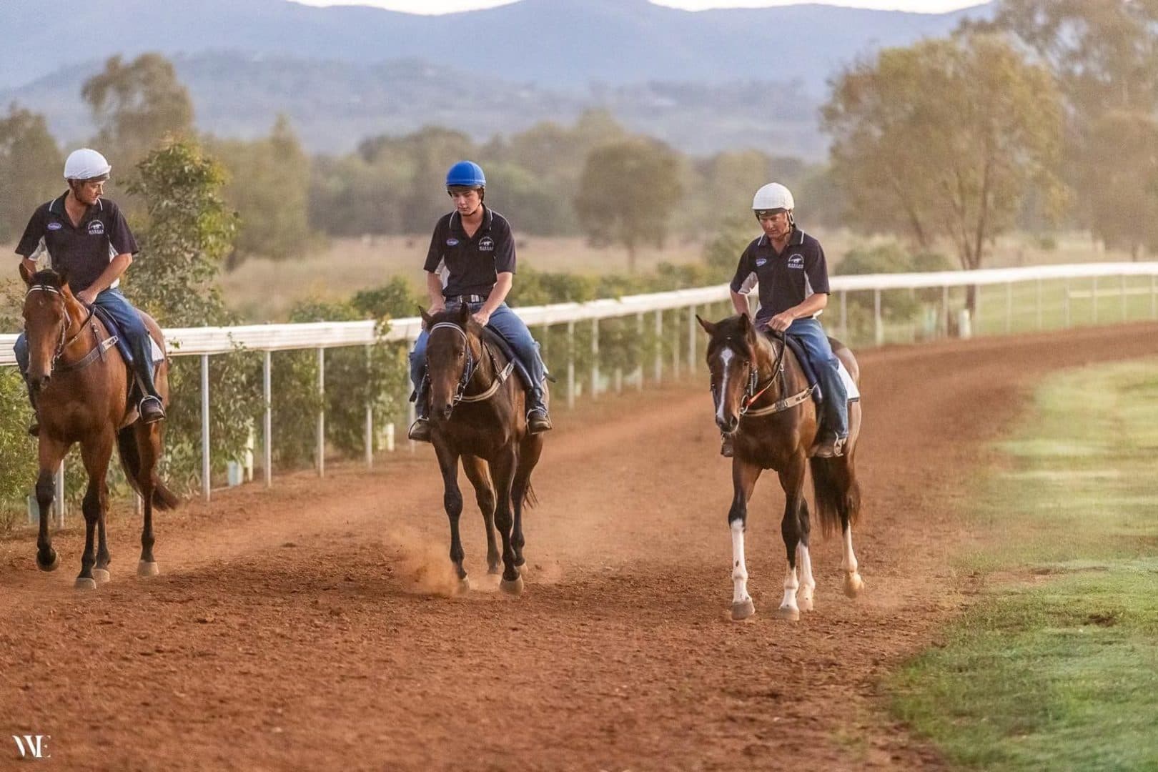 The process of breaking in a racehorse – Kurrinda Bloodstock