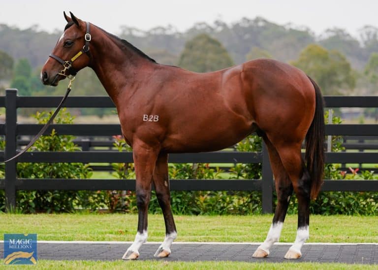 Buy yearling shares through a licensed and proven racehorse syndication company like Kurrinda Bloodstock who have proven results. Immerse yourself in the exciting world of horse racing and the potential to be in the next champion