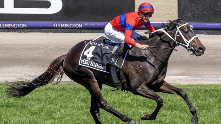How to buy exciting racehorse shares in 2024? Kurrinda Bloodstock a trusted and proven racehorse syndicator offers some of the most exciting racehorse shares in high quality yearlings on the market today, carefully selected with a wealth of experience behind them to give you the best possible chance for success on the racetrack