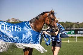Kurrinda Bloodstock