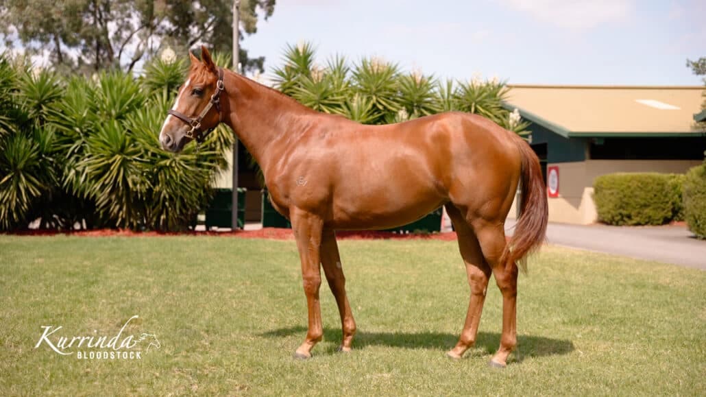 Tagaloa x Jasmine Wind