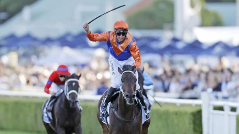 Breaking in a Horse | Expert Education - Kurrinda Bloodstock - Think It Over