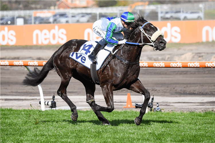 I Wish I Win multiple Group One winning sprinter arguably one of the very best sprinters in the world for trainer Peter Moody, the same trainer as the worlds very best sprinter Black Caviar
