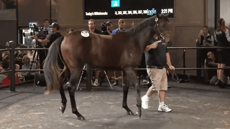 Debbie Kepitis goes to $10 Million to secure Winx's first foal and ensure she would be staying in Australia. As part owner of the mighty mare Winx it was always going to be hard for Debbie Kepitis to part ways with Winx's first foal by Champion sire Pierro.