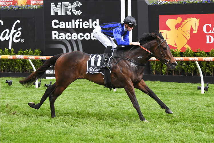 Asfoora takes on Europe, the exciting sprinter heads to the races on a Royal Ascot path looking to continue the history of Australian winners in recent years