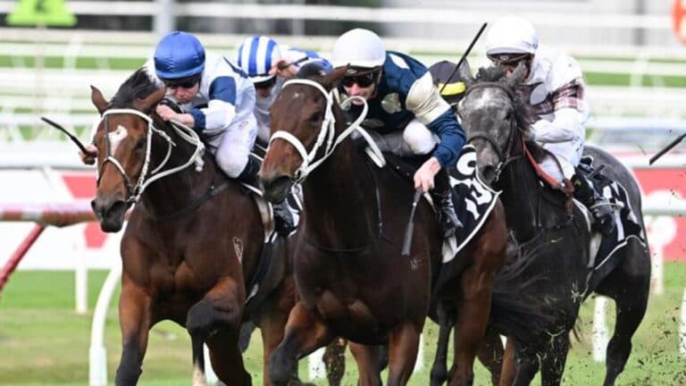 Queensland Oaks has long been one of the pinnacle races of the Brisbane Winter Carnival, a historic Group 1 for fillies and Kurrinda Bloodstock Syndications can make owning a potential runner in races like this a reality