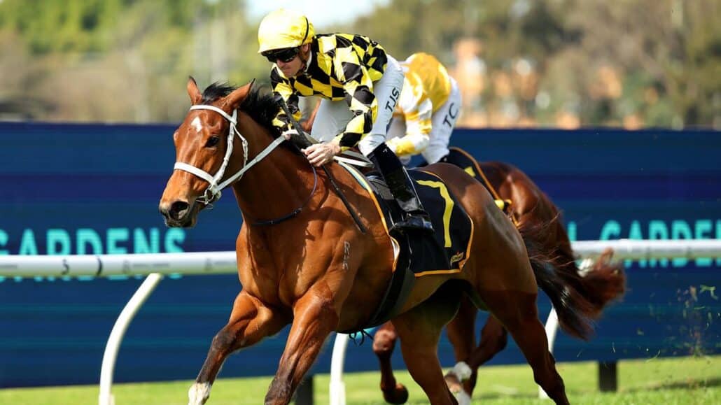 Autumn Glow and The Up and Coming Stakes