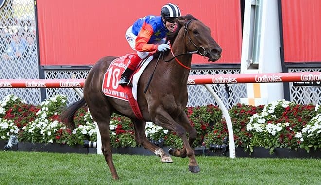 bellanipotinamanikatostakes 660x380rp