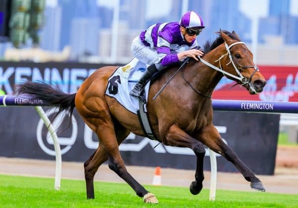 Join a Kurrinda Bloodstock horse racing syndicates. Affordable ownership opportunities in elite racehorses, offering excitement and potential returns for all members. -breednet images riff rocket 17319
