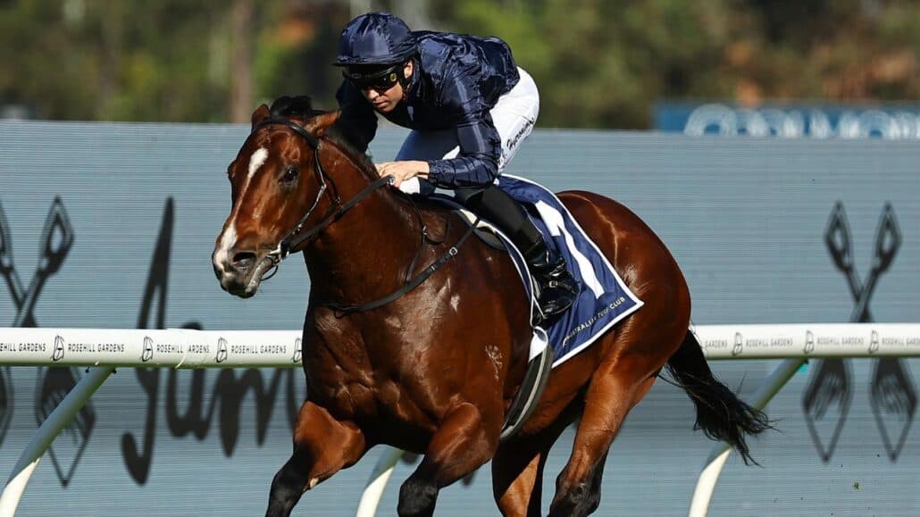 Storm Boy: Boom horse