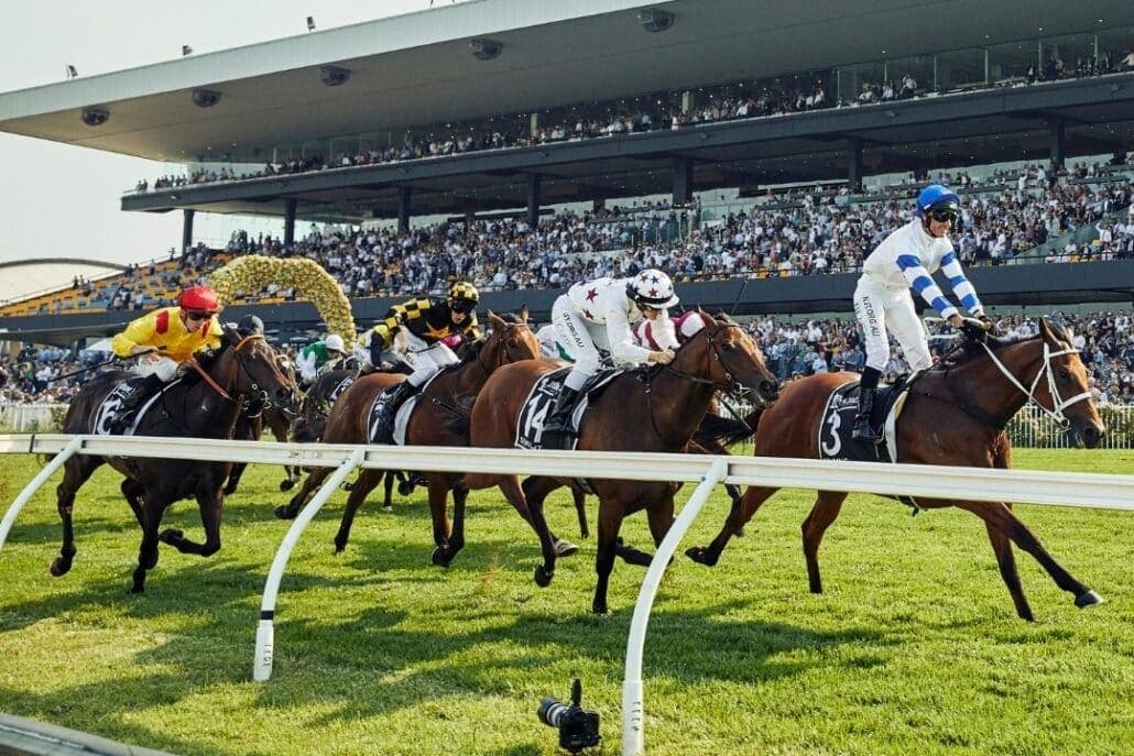 Rosehill Gardens (1)