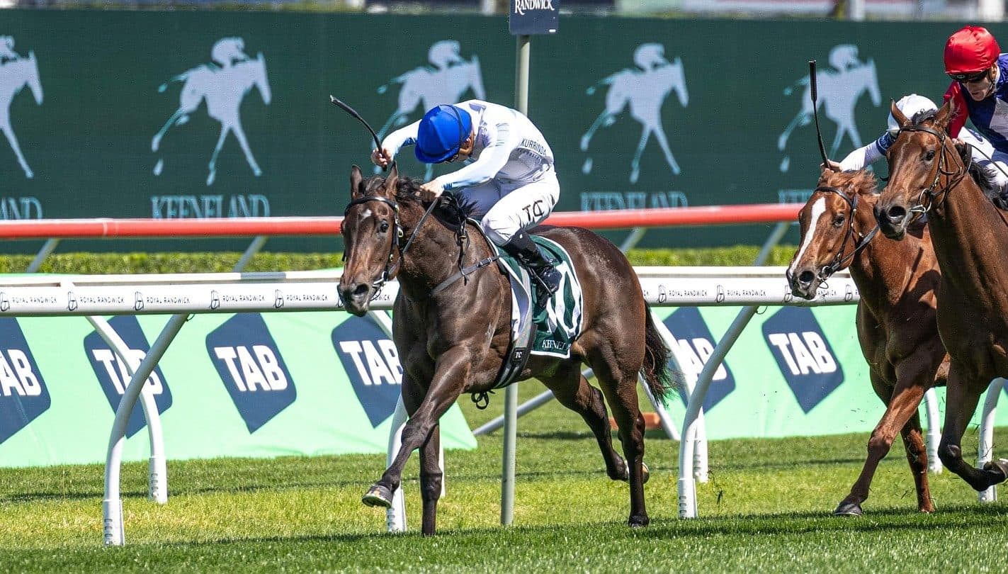 Why Choose Kurrinda Bloodstock Racehorse Syndicates