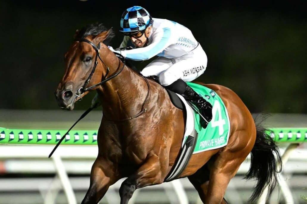 ash morgan wins the magic millions sunlight aboard private harry 1736026903 1352x900